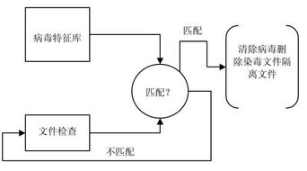 數字時代的守護者 防毒軟件與網絡信息安全軟件開發的重要性